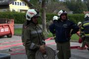 TRIAL____________IMG_6943