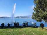IMG-20231013-WA0014