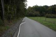 TRIAL____________IMG_6894