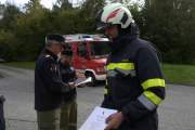 TRIAL____________IMG_6986