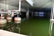 Infineon-Villacher-Brauerei_054