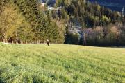 20160429_192728