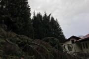 IMG-20181030-WA0028