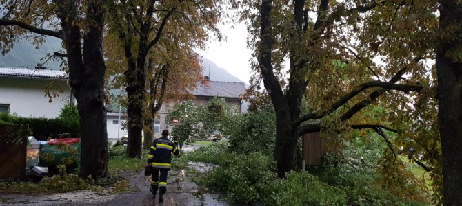 Unwetter, Waldbrand und Verkehrsunfälle