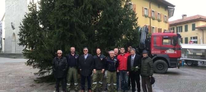Weihnachtsbaum für Tarcento