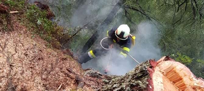 Waldbrand Mirnock