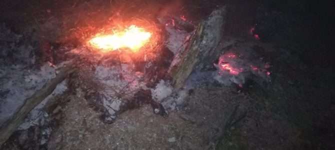 Brandeinsatz im Wald auf der Zauchen  oberhalb von Puch in steilem Gelände!