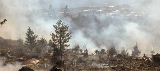 Brandeinsatz B5 Waldbrand Ruine Landskron