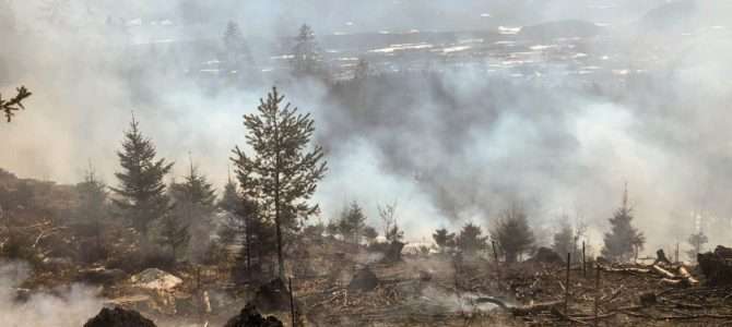 Brandeinsatz B5 Waldbrand Ruine Landskron