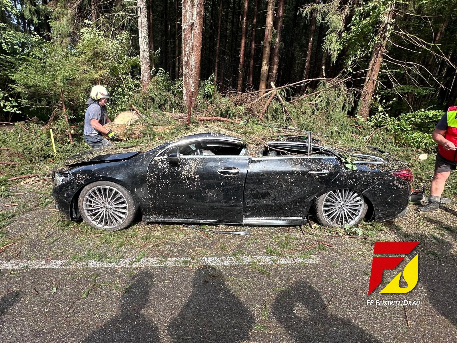 TVU3, Bäume begruben 2 Fahrzeuge