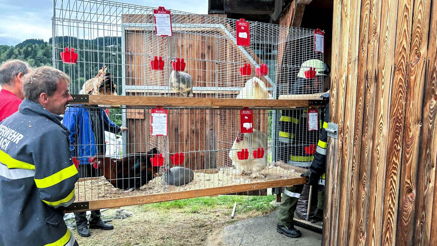 Feuerwehreinsatz bei den Arriacher Dorftagen: 200 Kleintiere in Sicherheit gebracht