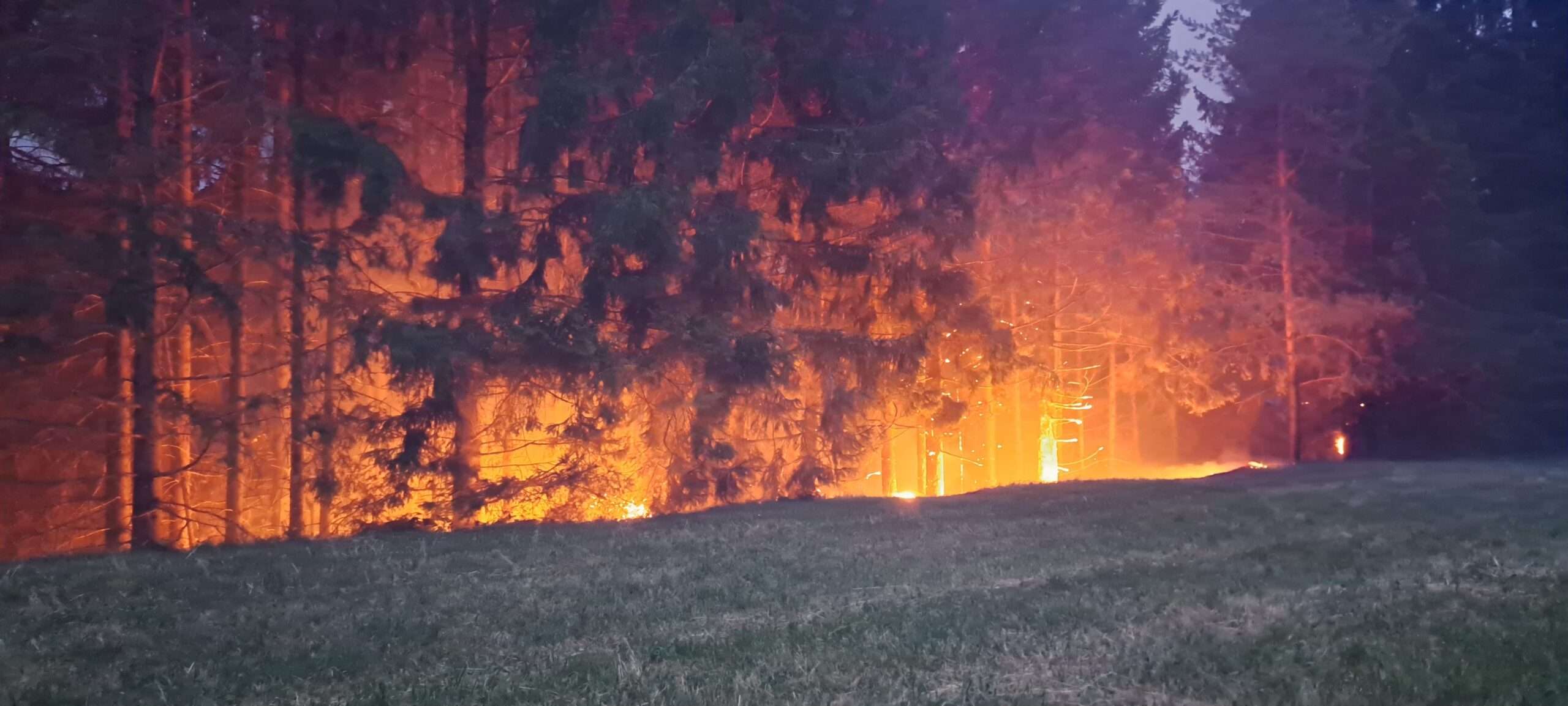 Waldbrand nach Sturmereignis – Großeinsatz für mehrere Feuerwehren im Unteren Drautal