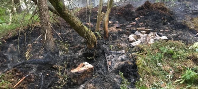 Waldbrand in der Schütt