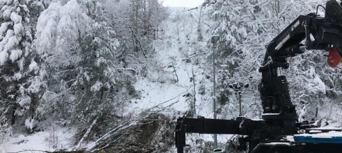 Schwerer LKW-Unfall auf der A2 Südautobahn