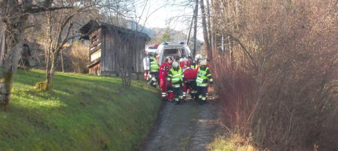 Forstunfall in Neuhaus