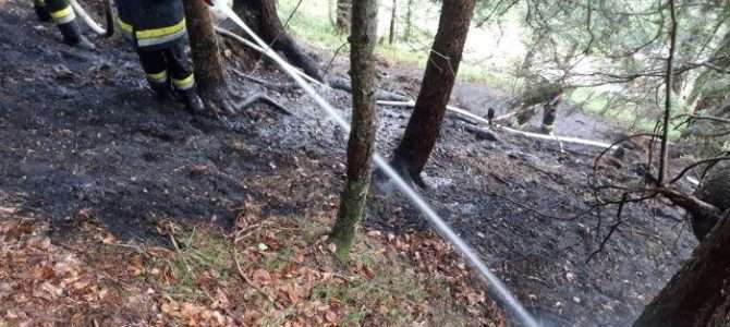 Waldbrand im Bereich der Windischen Höhe